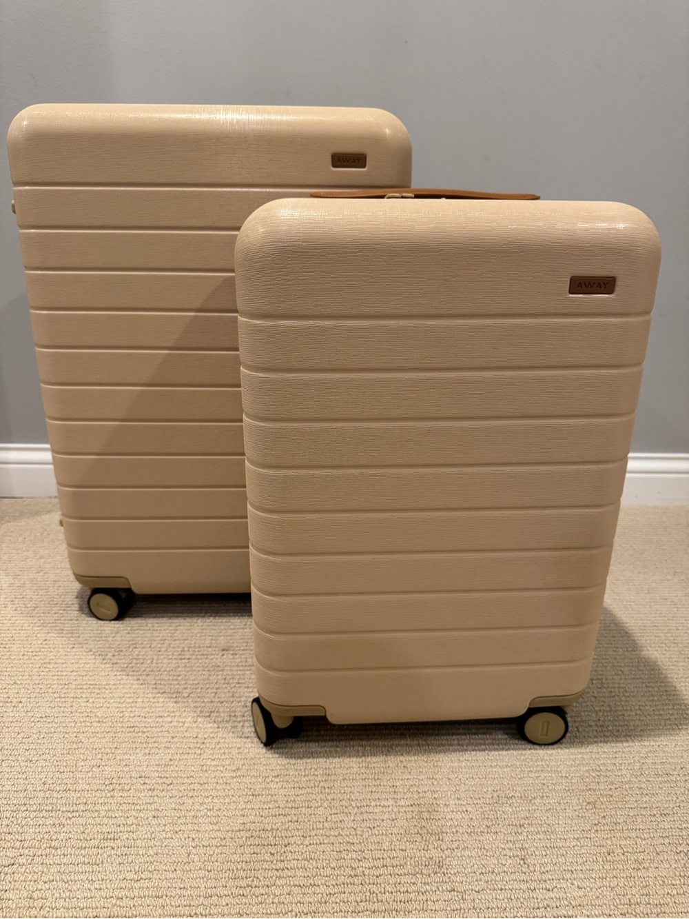 Limited Edition Away Suitcases (Luggage)